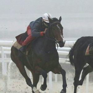 Meet your Posher, Chavez